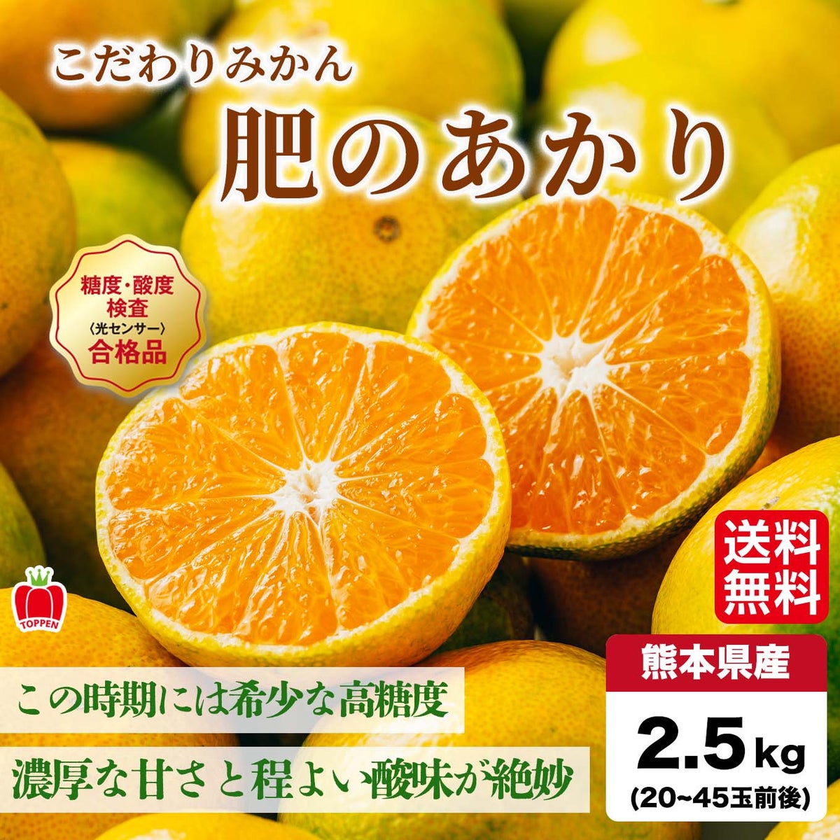 こだわりみかん「肥のあかり」 約2.5kg（20～45玉入 Ｌ～2Sサイズ）【送料無料】