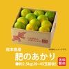 こだわりみかん「肥のあかり」 約2.5kg（20～45玉入 Ｌ～2Sサイズ）【送料無料】