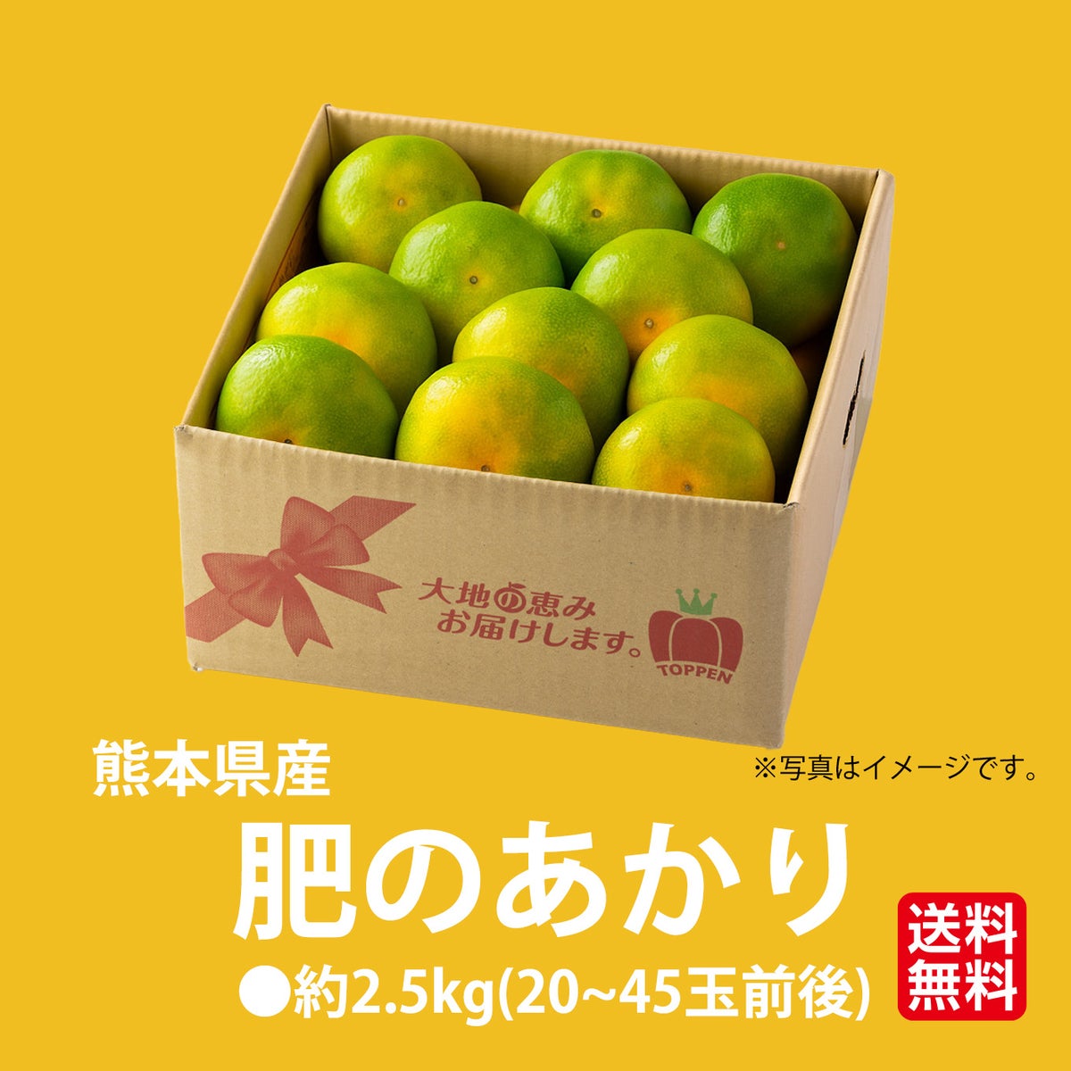 こだわりみかん「肥のあかり」 約2.5kg（20～45玉入 Ｌ～2Sサイズ）【送料無料】