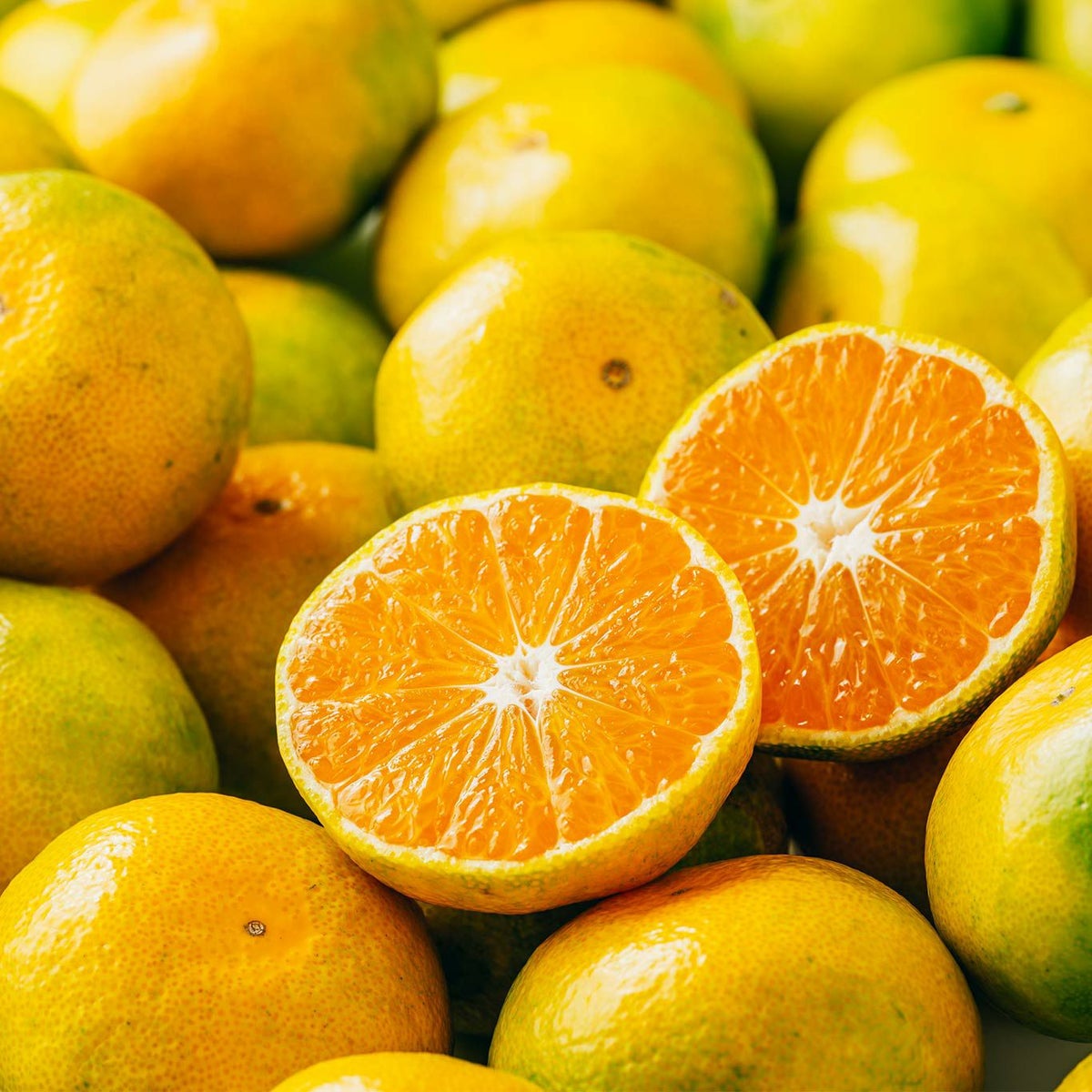 こだわりみかん「肥のあかり」 約2.5kg（20～45玉入 Ｌ～2Sサイズ）【送料無料】