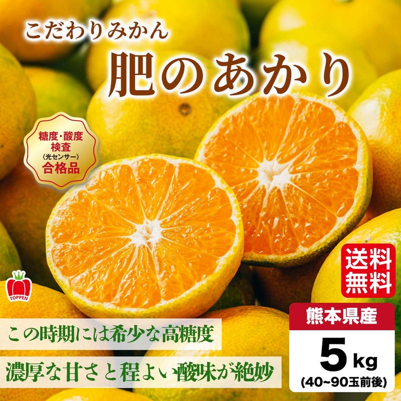 こだわりみかん「肥のあかり」 約5kg（40～90玉入 Ｌ～２Sサイズ）【送料無料】