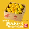 こだわりみかん「肥のあかり」 約5kg（40～90玉入 Ｌ～２Sサイズ）【送料無料】