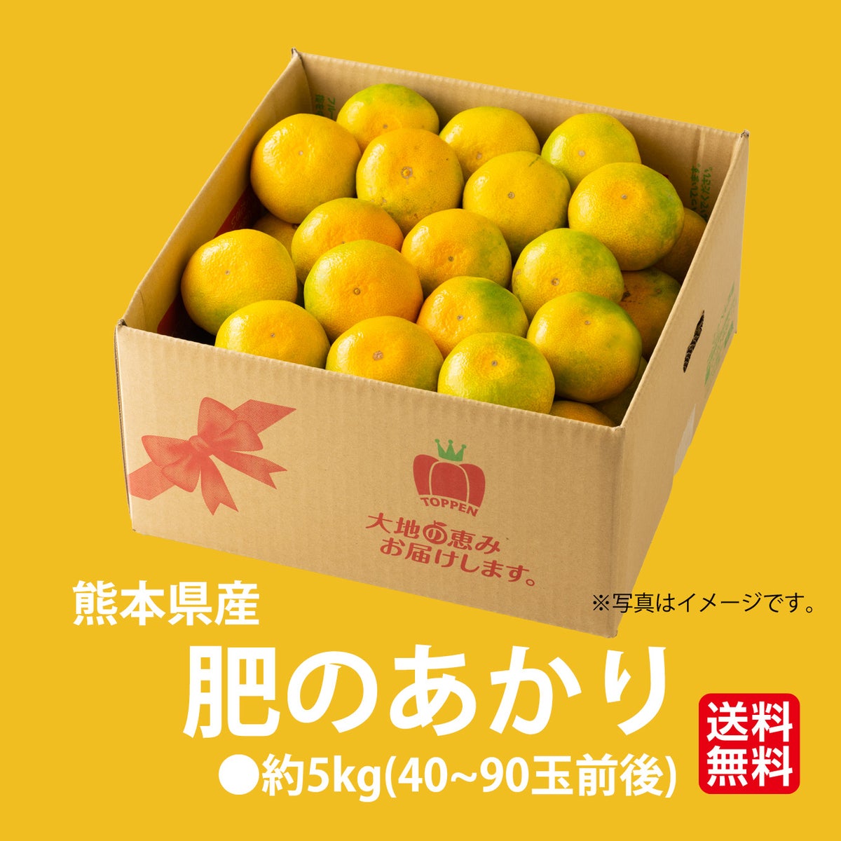 こだわりみかん「肥のあかり」 約5kg（40～90玉入 Ｌ～２Sサイズ）【送料無料】