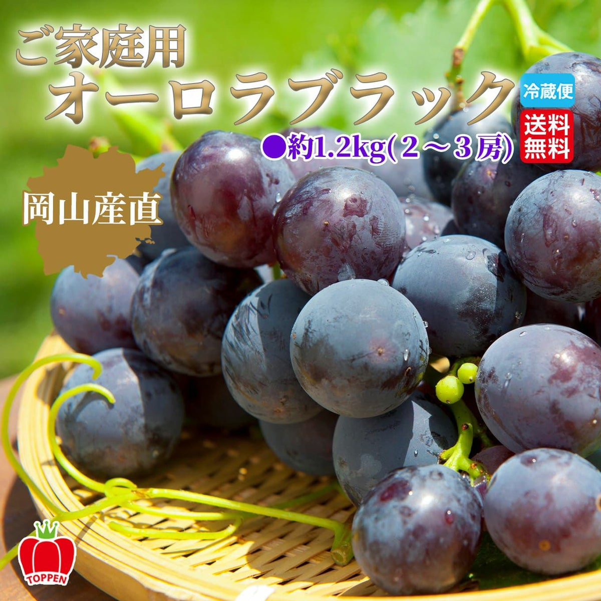  岡山県産直　ご家庭用オーロラブラック 約1.2kg(2～3房)【送料無料】