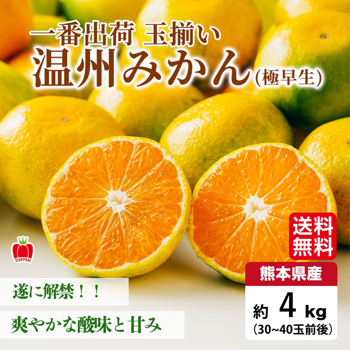 一番出荷　温州みかん（極早生） 約4kg（30～40玉前後 L・Mサイズ／玉揃い）【送料無料】