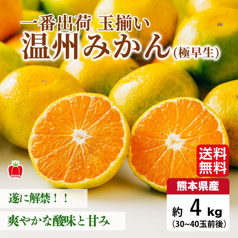 一番出荷　温州みかん（極早生） 約4kg（30～40玉前後 L・Mサイズ／玉揃い）【送料無料】