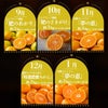 極みみかん短期定期便≪１箱／３㎏〜５㎏／月1回お届け：９月～１月／５か月限定≫