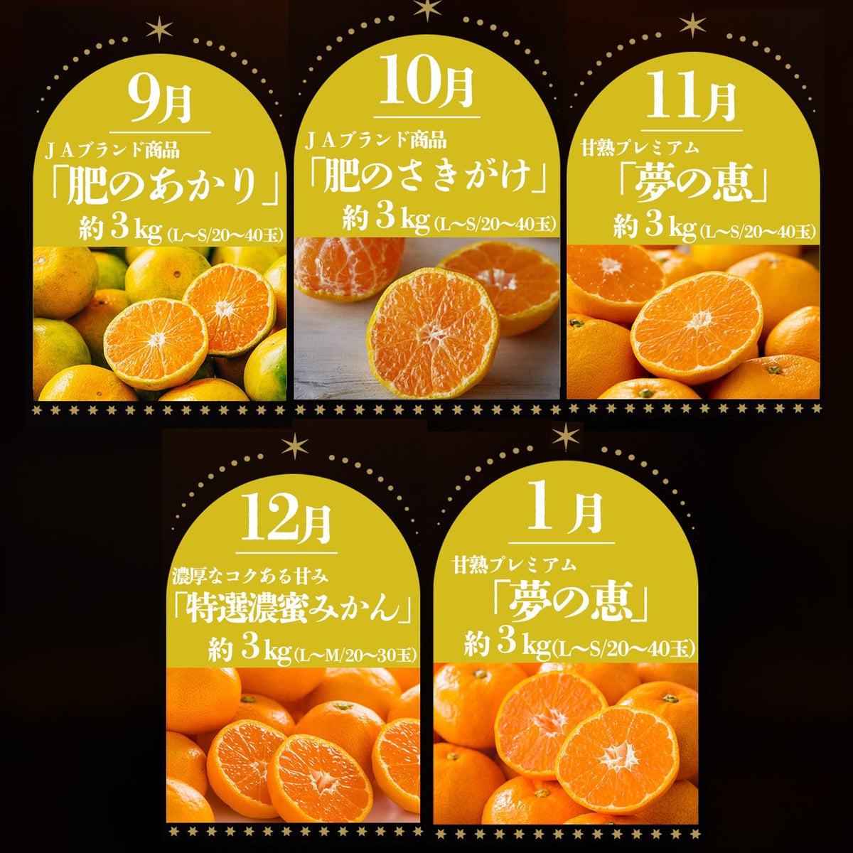 極みみかん短期定期便≪１箱／３㎏〜５㎏／月1回お届け：９月～１月／５か月限定≫