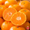 ≪初回限定！ご自宅お試し価格≫完熟濃蜜みかん 約2kg（12～35玉／大小混合）※同一住所に２箱以上で送料無料!!