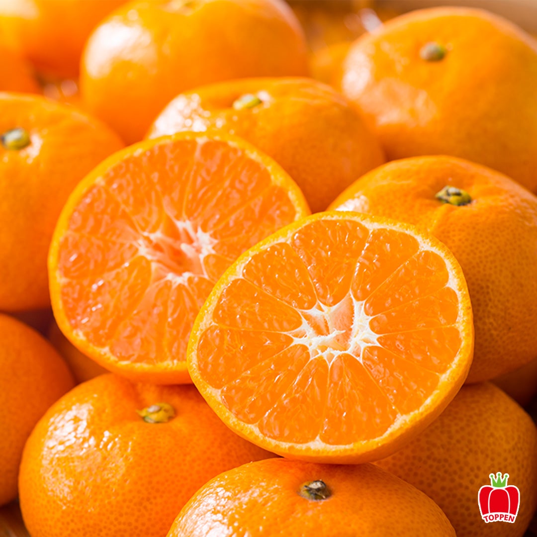 ≪初回限定！ご自宅お試し価格≫完熟濃蜜みかん 約2kg（12～35玉／大小混合）※同一住所に２箱以上で送料無料!!