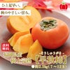 樹上完熟　早秋柿　約2.5ｋｇ（７～12玉）【送料無料】