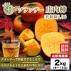 山形県産直 ブランデー庄内柿　約2kｇ（９～15玉）【送料無料】