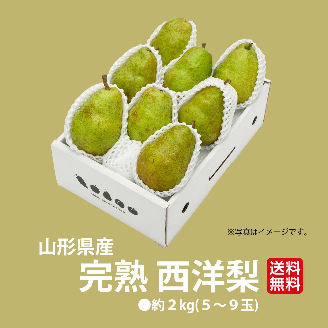 山形県産直 完熟 西洋梨 約2kg(5～9玉)【送料無料】 - とっぺん市場