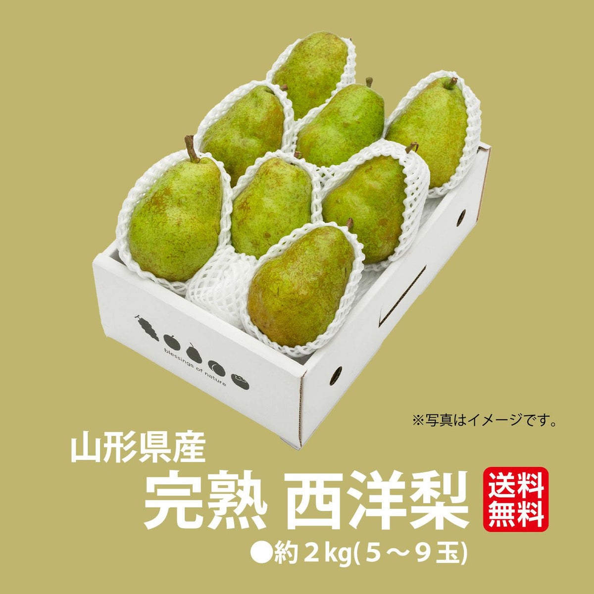 山形県産直　完熟 西洋梨 約２kg(５～９玉)【送料無料】