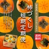 完熟 柿づくし短期定期便≪2.5㎏〜3kg（10～20玉）／月1回お届け：9月～12月／4か月限定≫【毎月一律価格・送料無料】