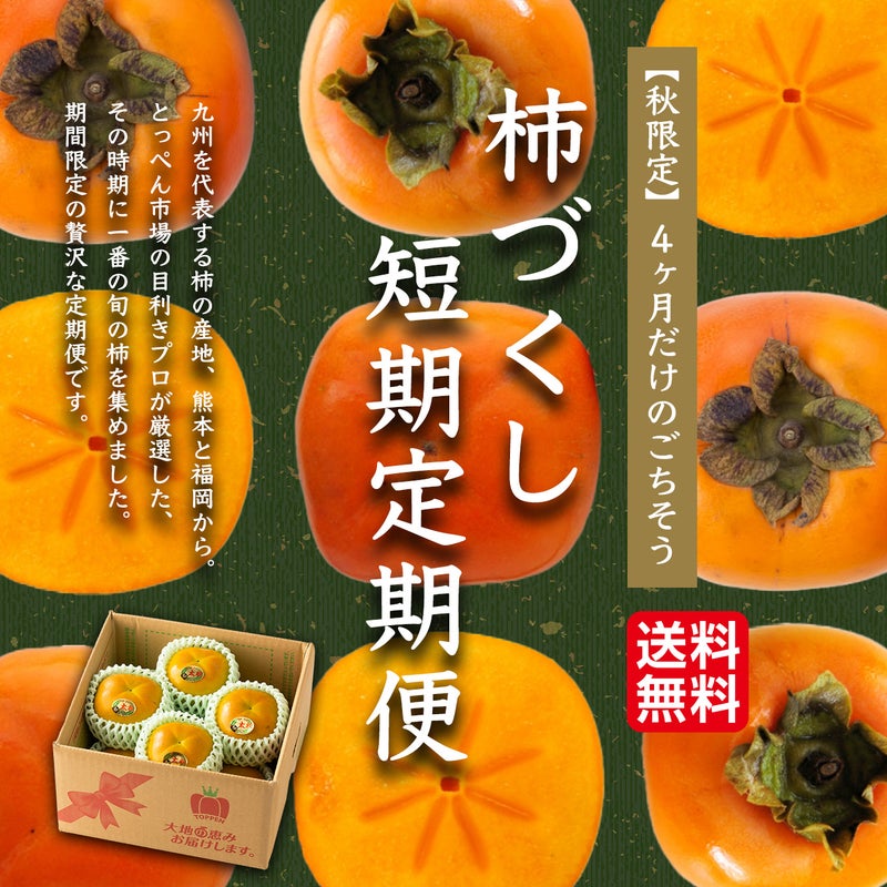 完熟 柿づくし短期定期便≪2.5㎏〜3kg（10～20玉）／月1回お届け：9月～12月／4か月限定≫【毎月一律価格・送料無料】