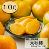 完熟 柿づくし短期定期便≪2.5㎏〜3kg（10～20玉）／月1回お届け：9月～12月／4か月限定≫【毎月一律価格・送料無料】