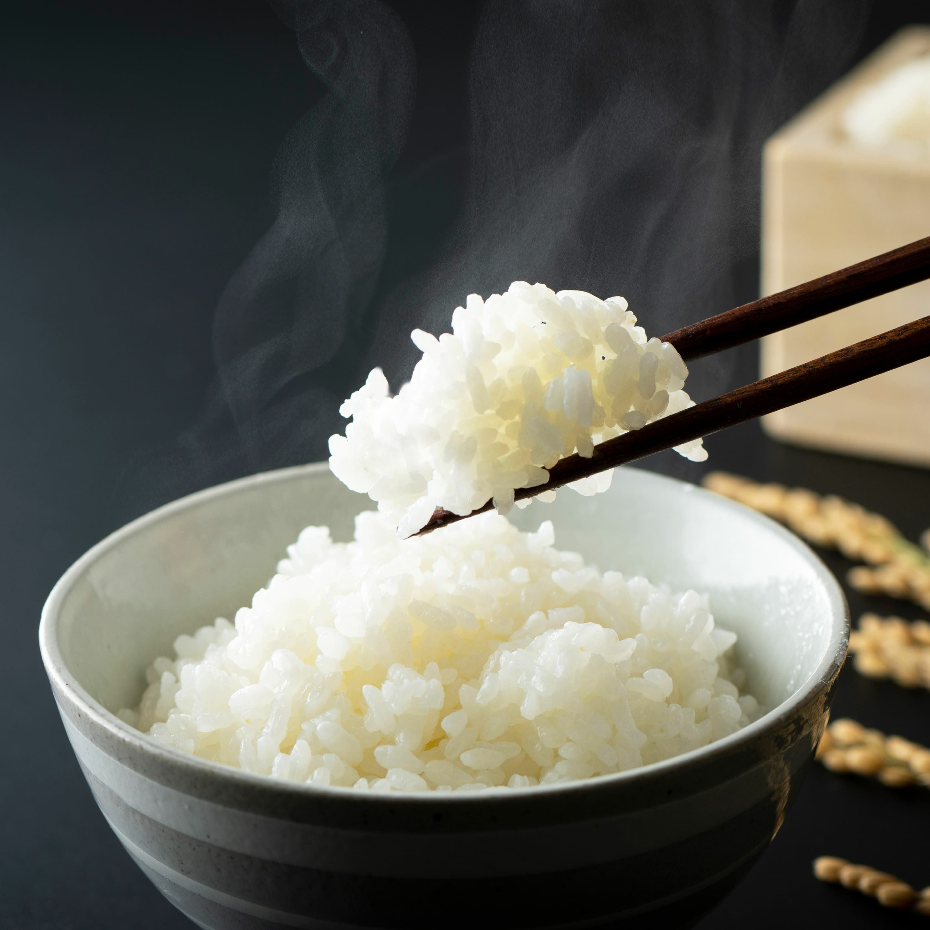 令和7年度産 阿蘇コシヒカリ 5kg【送料無料】 - とっぺん市場