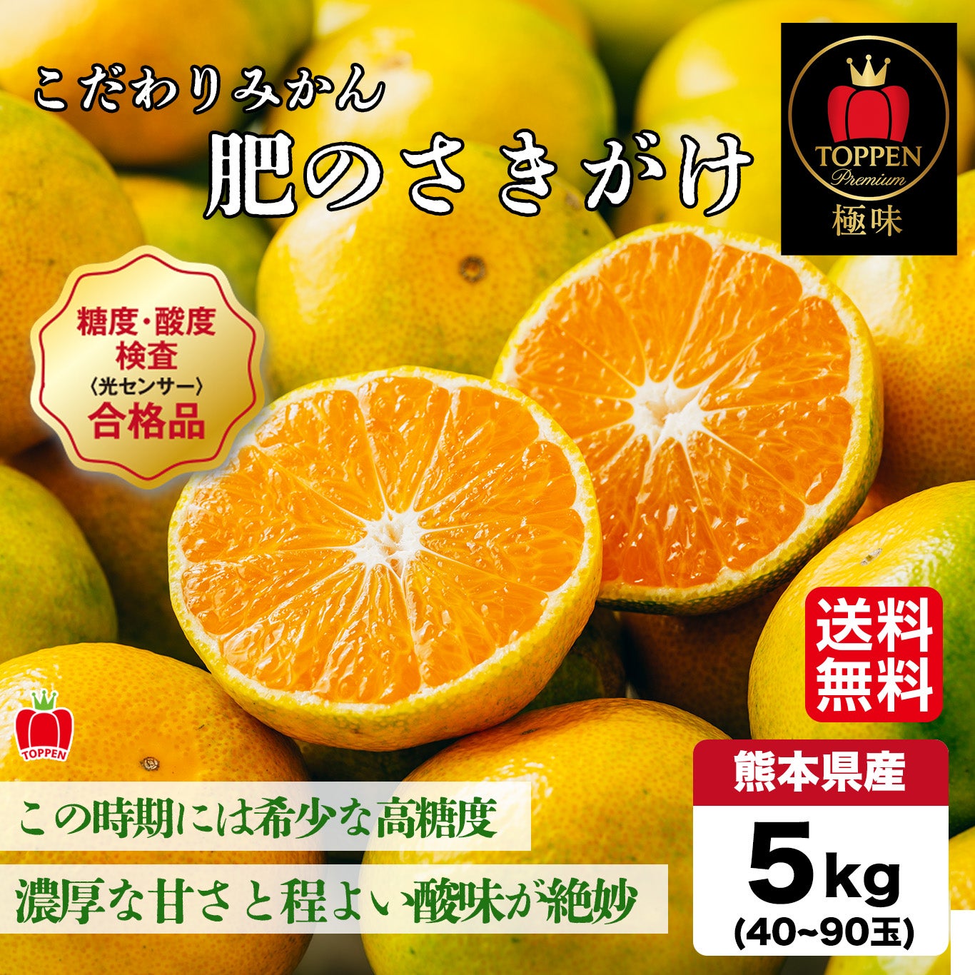 ≪とっぺん極味シリーズ≫こだわりみかん「肥のさきがけ」 約5kg（40