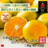 ≪とっぺん極味シリーズ≫こだわりみかん「肥のさきがけ」 約５kg（40～90玉入）【送料無料】