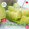 熊本県産　完熟　アールスメロン 2玉（３L～４L）／１玉：1.6kg以上 【送料無料】