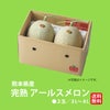 熊本県産　完熟　アールスメロン 2玉（３L～４L）／１玉：1.6kg以上 【送料無料】