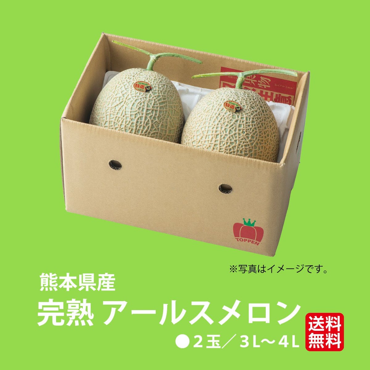 熊本県産　完熟　アールスメロン 2玉（３L～４L）／１玉：1.6kg以上 【送料無料】