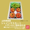 山形県産直　シャインマスカット×サンふじ詰め合わせ 約2kg【送料無料】