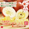 完熟　蜜入りサンふじ 　約3kg（8～12玉入）【送料無料】