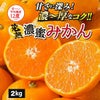 完熟濃蜜みかん 約2kg（12～35玉／大小混合）