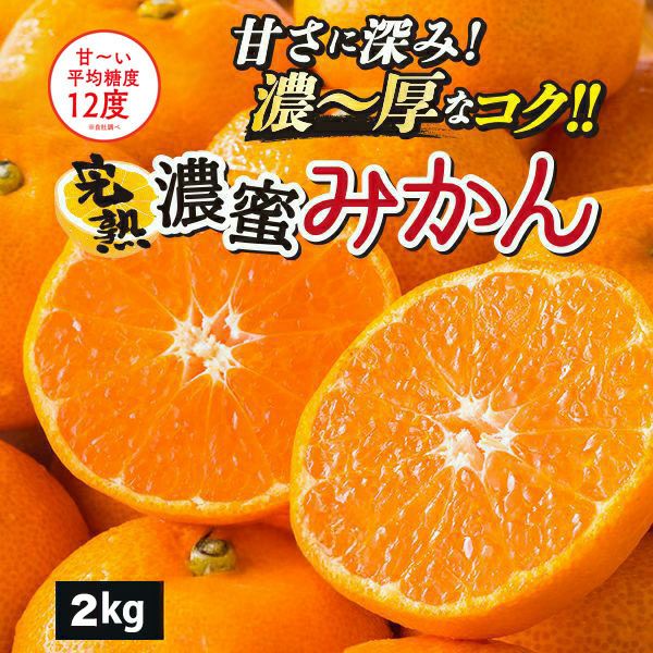 完熟濃蜜みかん 約2kg（12～35玉／大小混合）