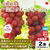 長野県産 完熟クイーンルージュ　2房（1房：約500ｇ前後） 【送料無料】