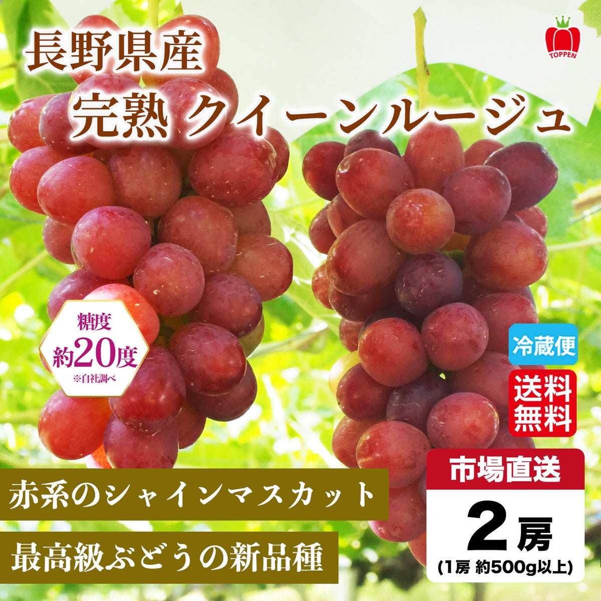 長野県産 完熟クイーンルージュ　2房（1房：約500ｇ前後） 【送料無料】