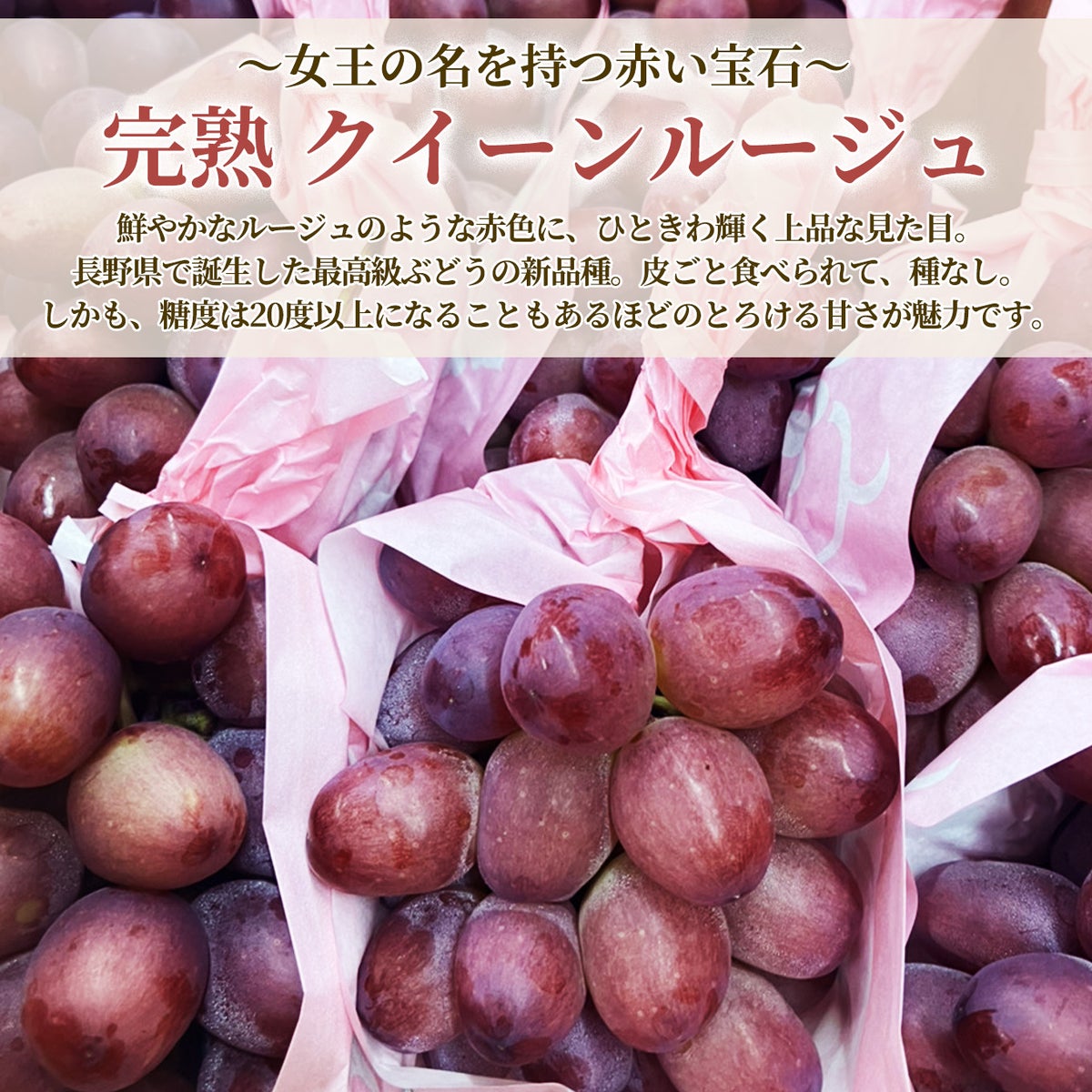 長野県産 完熟クイーンルージュ　2房（1房：約500ｇ前後） 【送料無料】