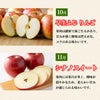 りんごづくし定期便≪月1回お届け：10月～1月／期間限定≫【毎月一律価格・送料無料】