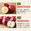 りんごづくし定期便≪月1回お届け：10月～1月／期間限定≫【毎月一律価格・送料無料】