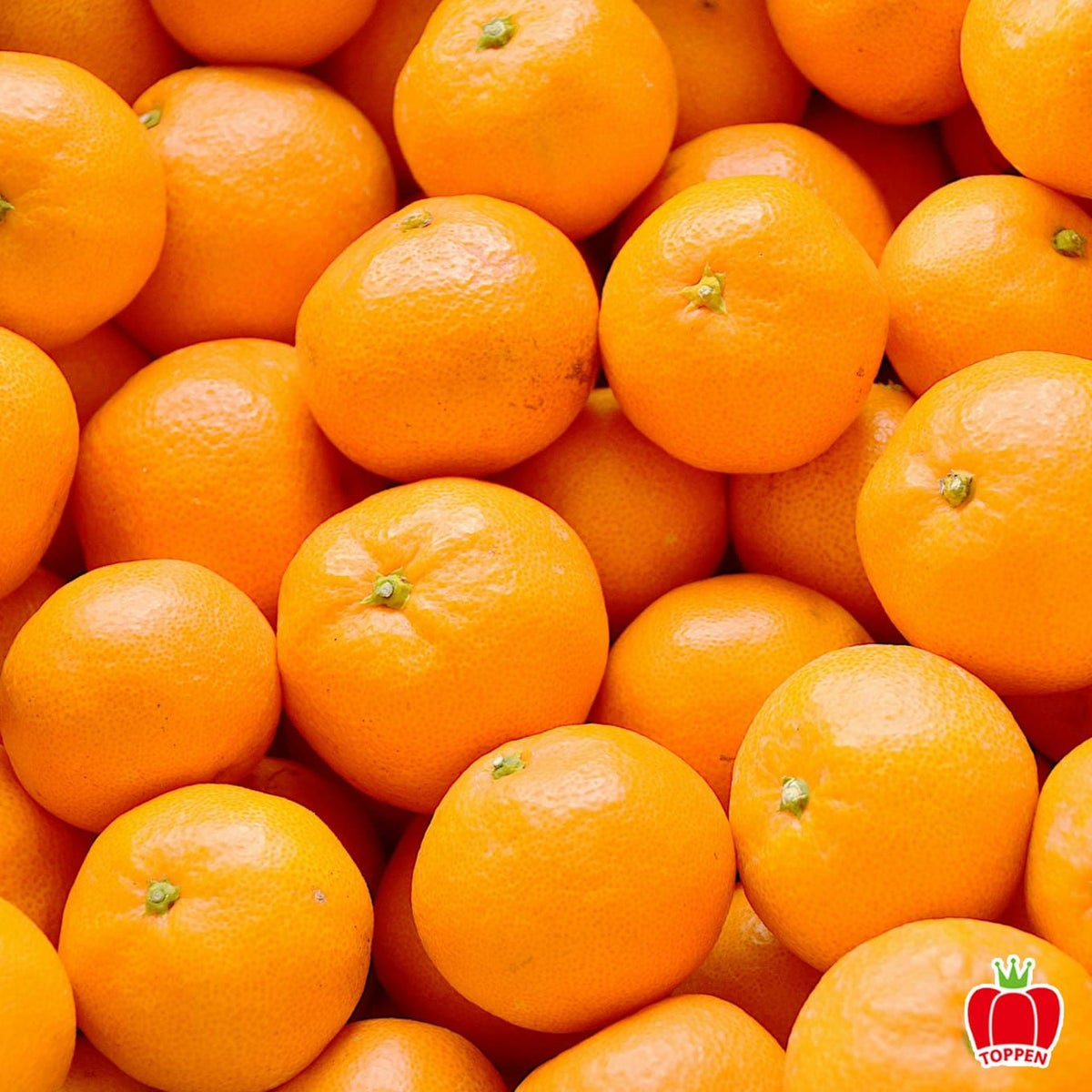 熊本県産 濃厚ひとくちみかん 約2kg（30～50玉入り 2S～3S）【送料無料】