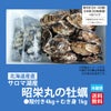≪期間限定≫サロマ湖産　昭栄丸の牡蠣　殻付き４kg ＋むき身 1kg【送料無料】≪冷蔵便≫