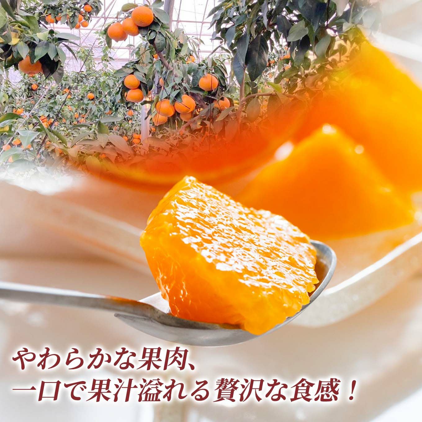 愛媛県産直！完熟あいか 3kg（15玉/ L）【送料無料】 - とっぺん市場