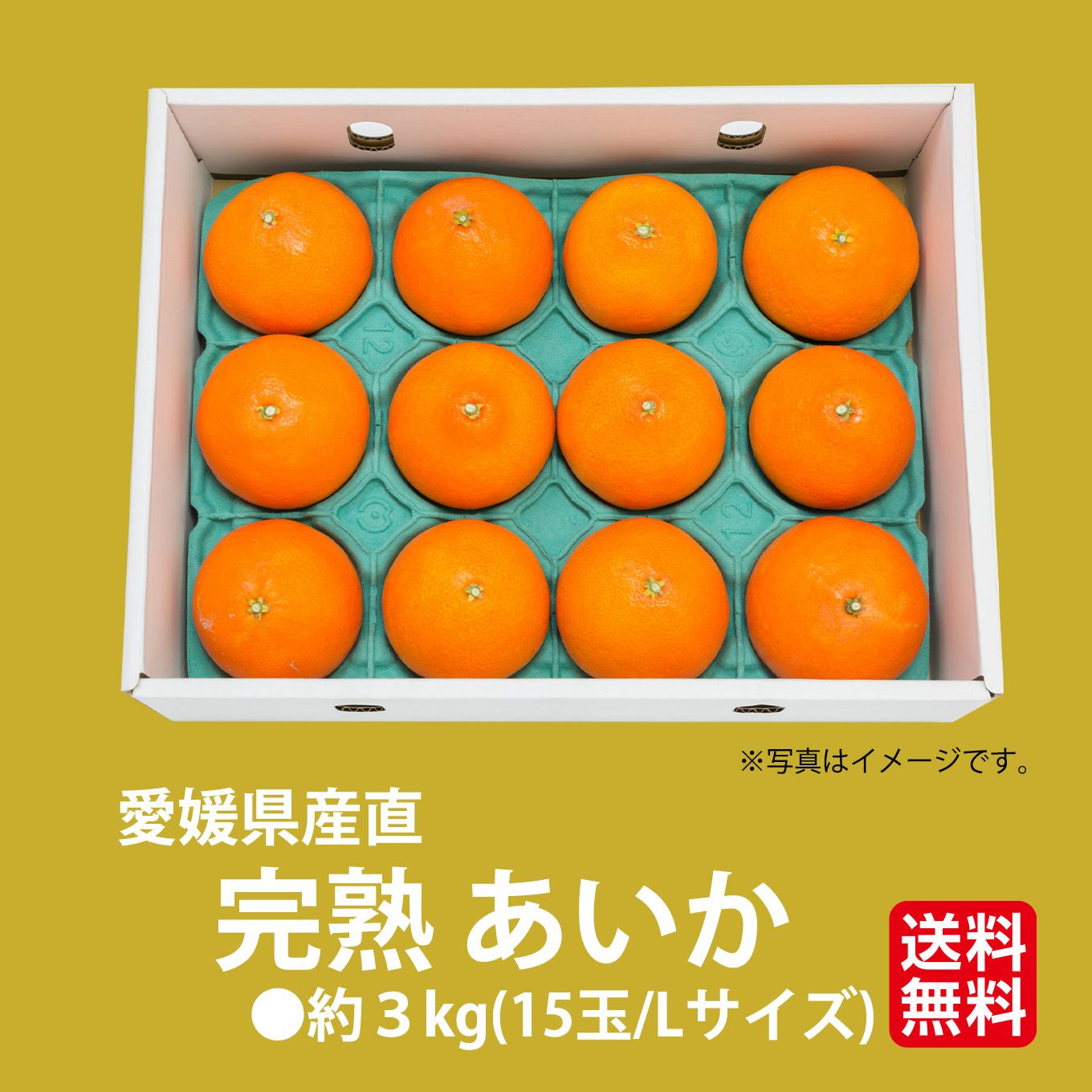 愛媛県産直！完熟あいか 3kg（15玉/ L）【送料無料】 - とっぺん市場