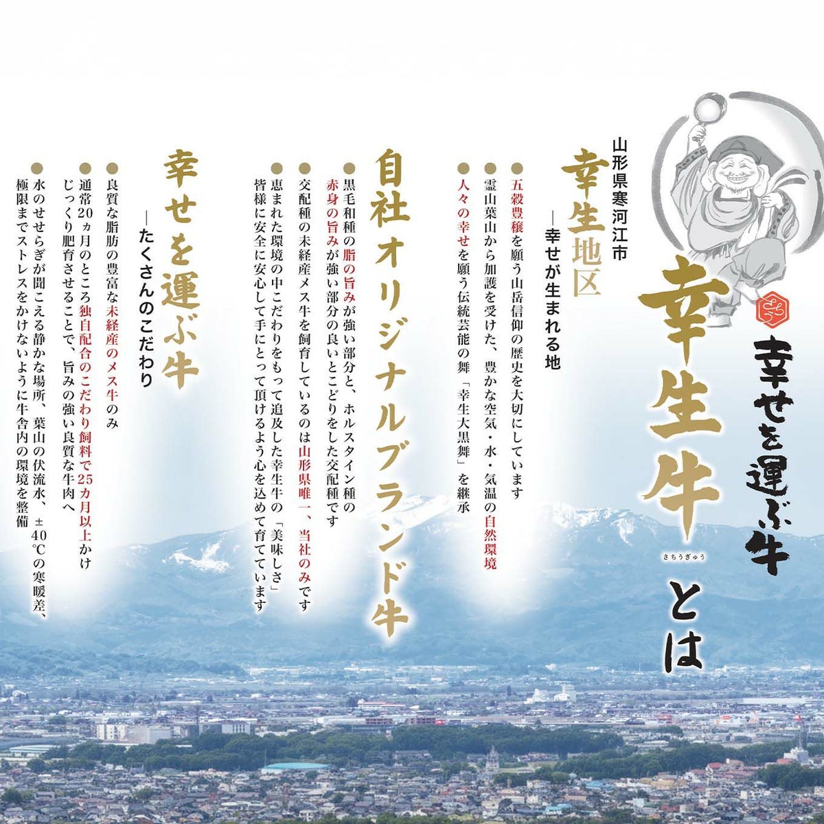 幸生牛カルビ焼肉　（約500ｇ）【送料無料】≪冷凍便≫※産地直送のため他の商品と同梱できません