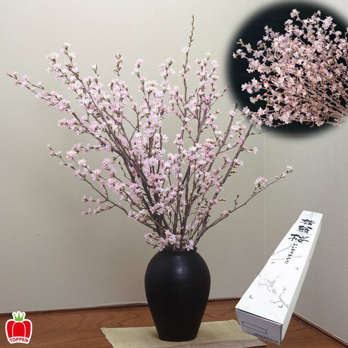 山形県産　啓扇桜（60～80cm×7本）【送料無料】※産地直送のため他の商品と同梱できません
