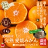愛媛県産　完熟　愛媛みかん　3ｋｇ（30玉前後／L～S）【送料無料】