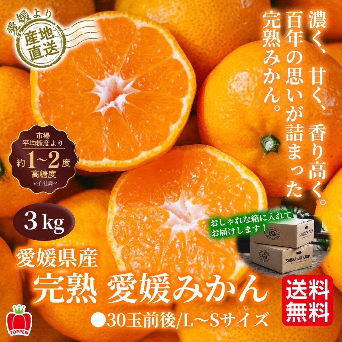 愛媛県産　完熟　愛媛みかん　3ｋｇ（30玉前後／L～S）【送料無料】