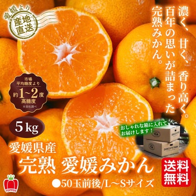 愛媛県産 完熟 愛媛みかん 5 50玉前後 L S 送料無料 - とっぺん市場