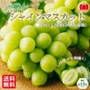 完熟 シャインマスカット　２房（1房：500ｇ前後） 【送料無料】