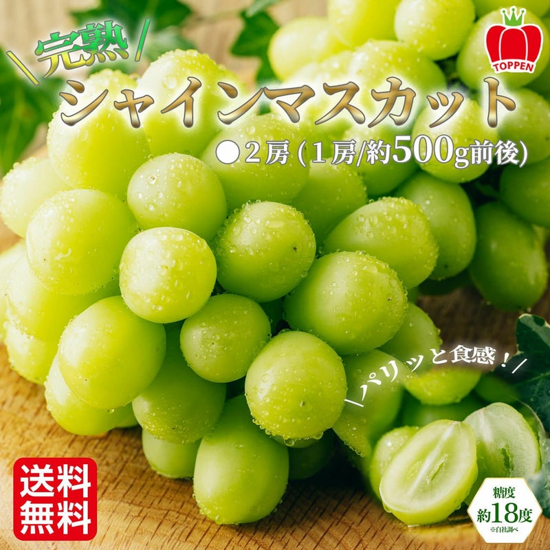 完熟 シャインマスカット　２房（1房：500ｇ前後） 【送料無料】