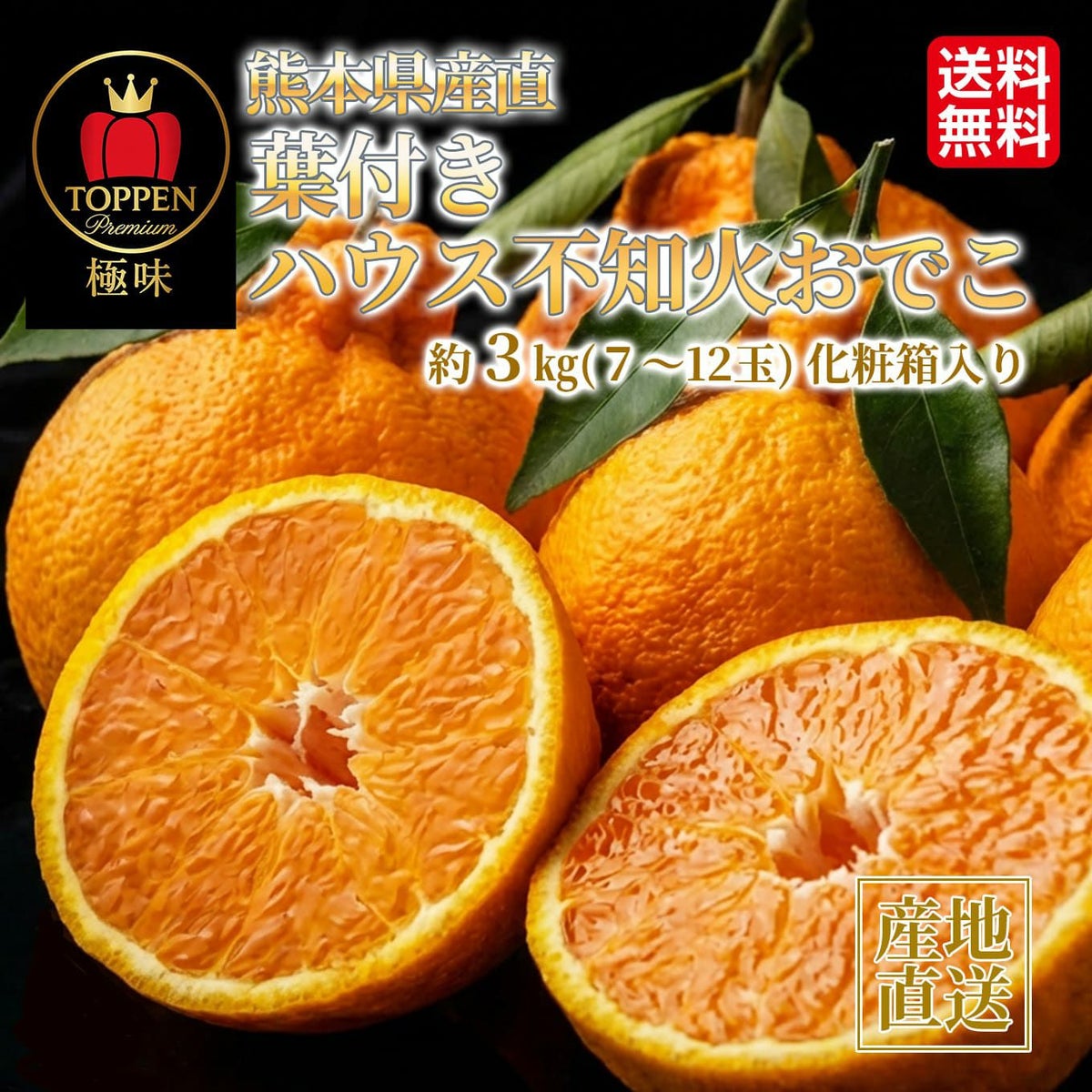 《極味シリーズ》熊本県産直 葉付きハウス不知火おでこ　約３kg（７～12玉）【送料無料】