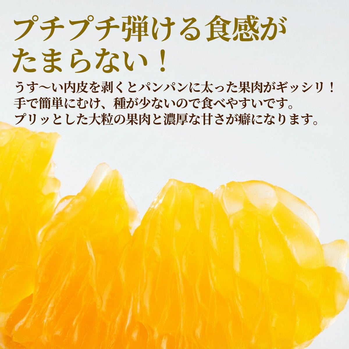 《極味シリーズ》熊本県産直 葉付きハウス不知火おでこ　約３kg（７～12玉）【送料無料】