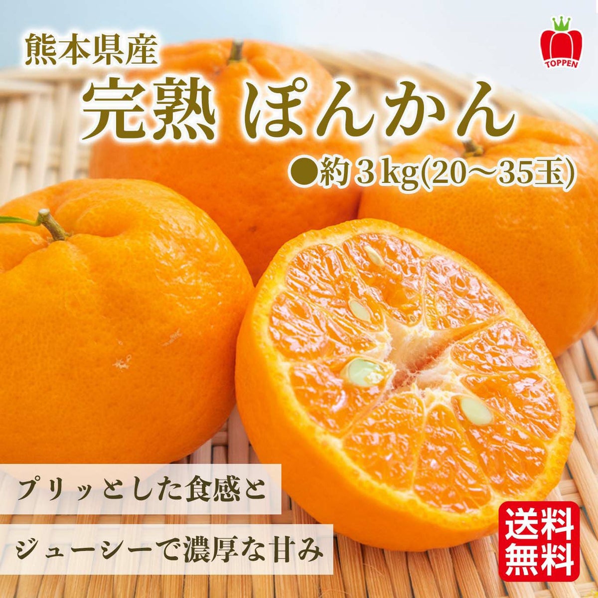 熊本県産 完熟ぽんかん 約３kg（20～35玉入）【送料無料】